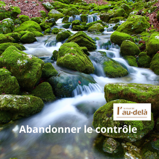 Abandonner le contrôle - Chronique d'octobre 23 dans la RAD