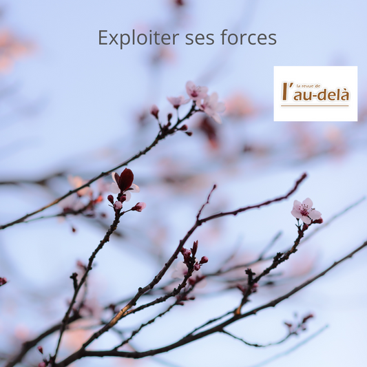 Exploiter ses forces: Chronique de janvier 2023 dans la RAD