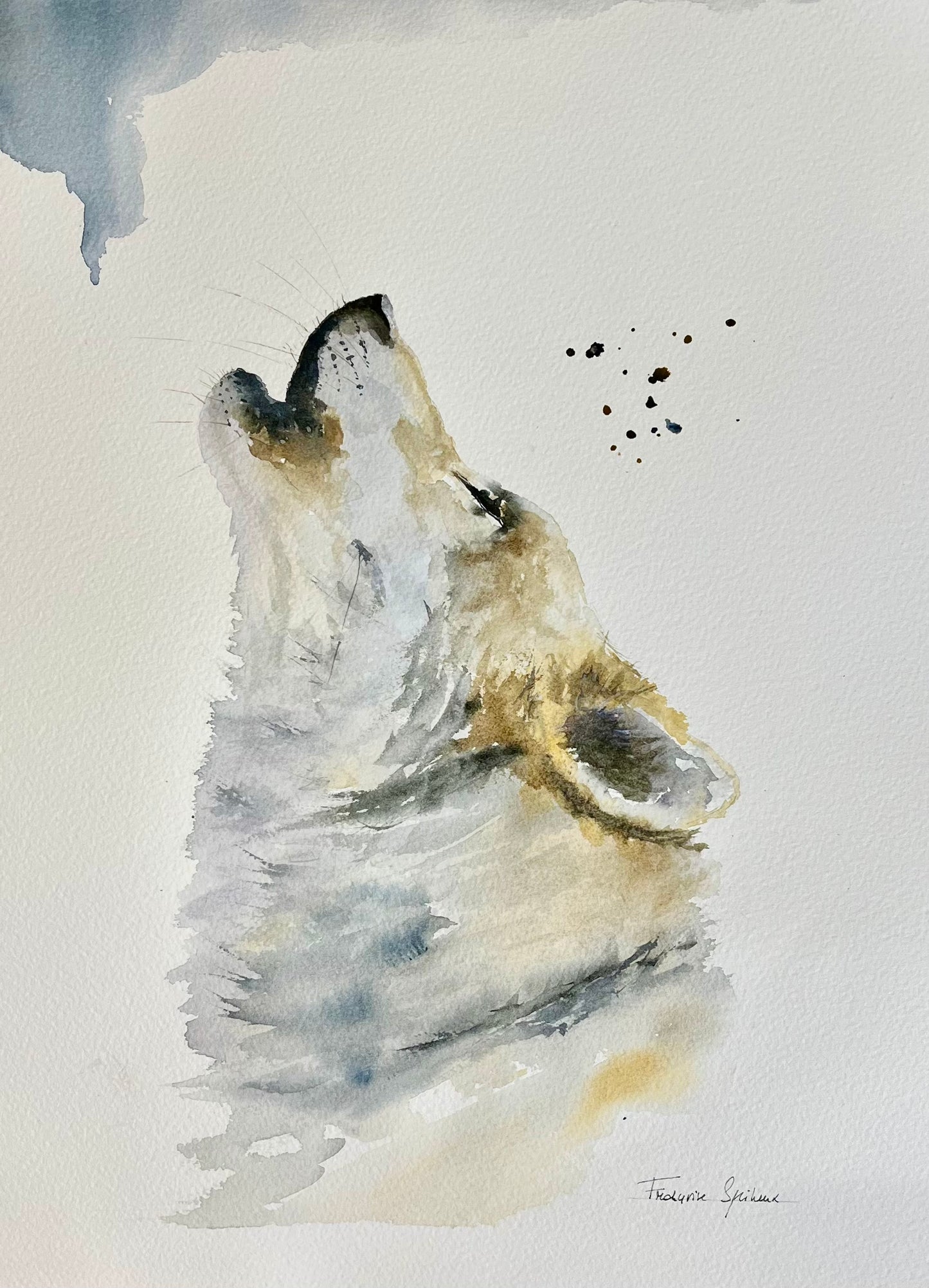 Complainte solitaire