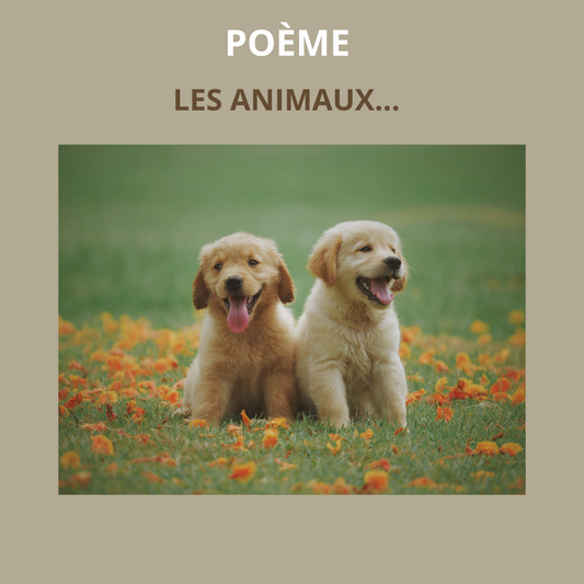 Poème: LES ANIMAUX
