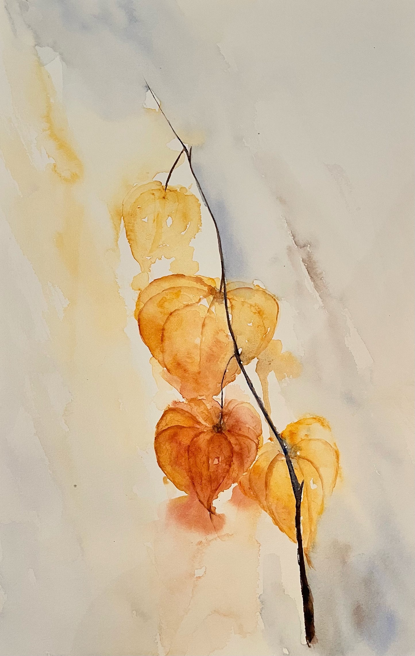 Physalis en cascade