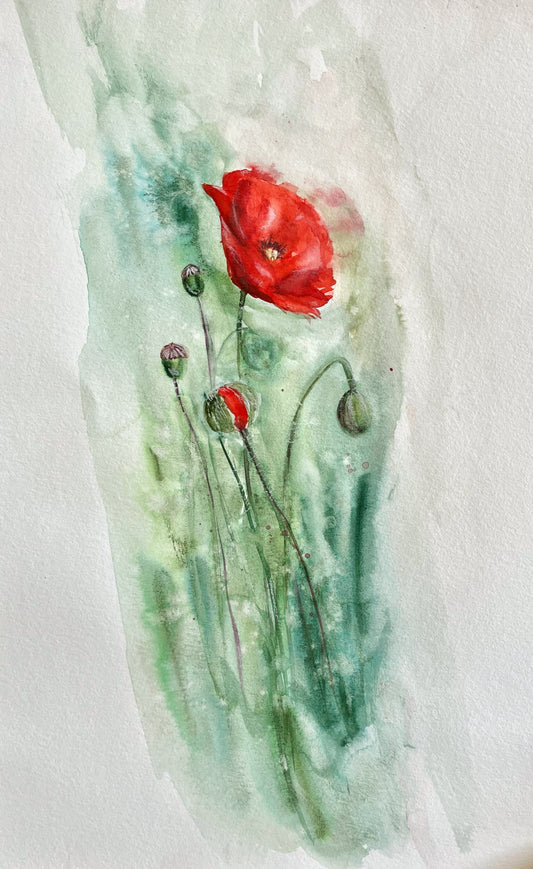 Coquelicot