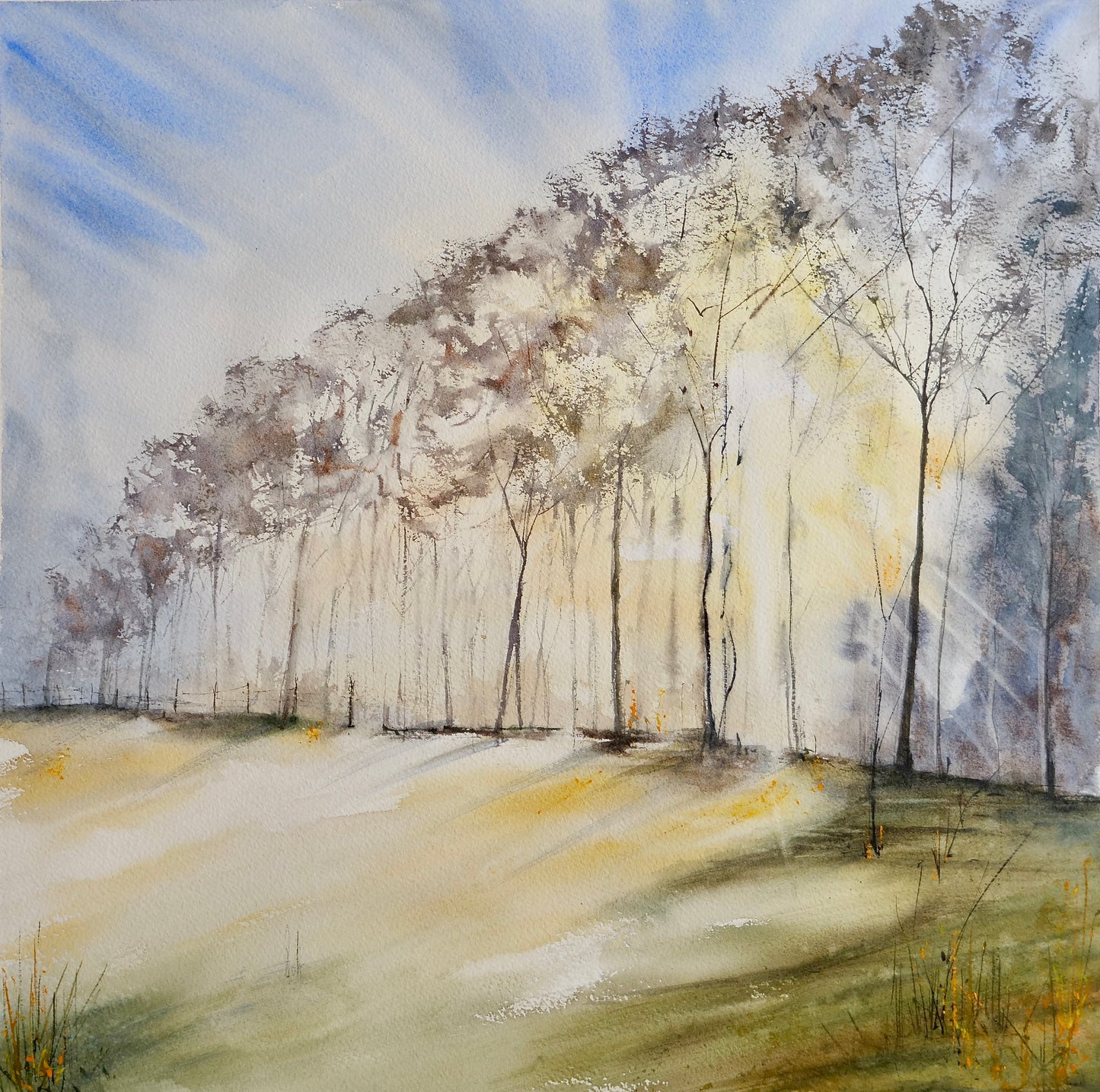 Ombres et lumières d'hiver